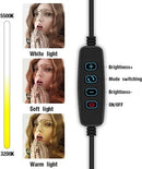 10" LED Ring Light with Phone Holder – 26cm USB Selfie Light (No Stand)
